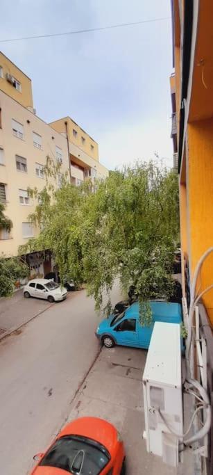 Studio Marko Novi Sad Exteriér fotografie